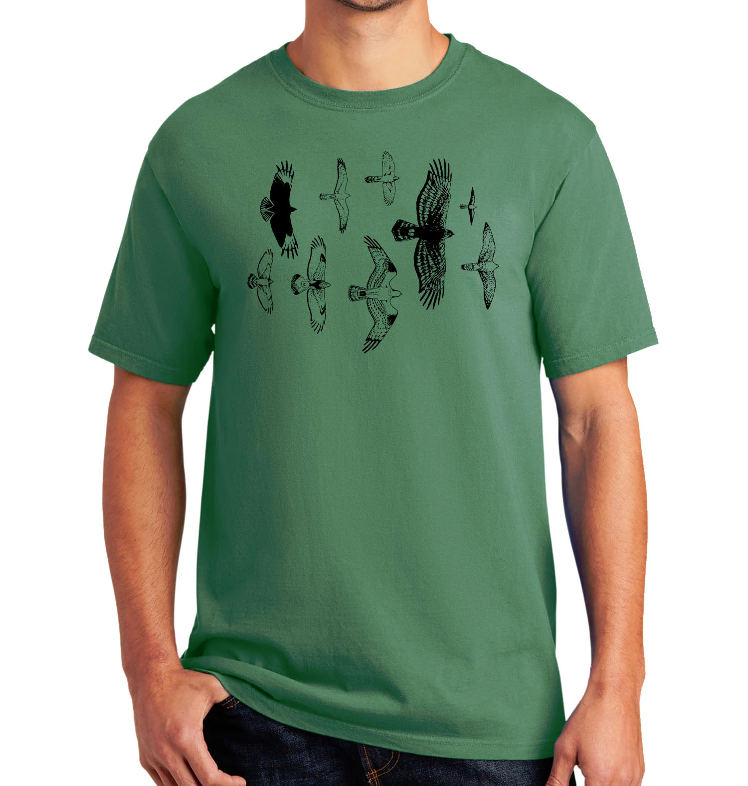 Hawk Mountain - Image 2