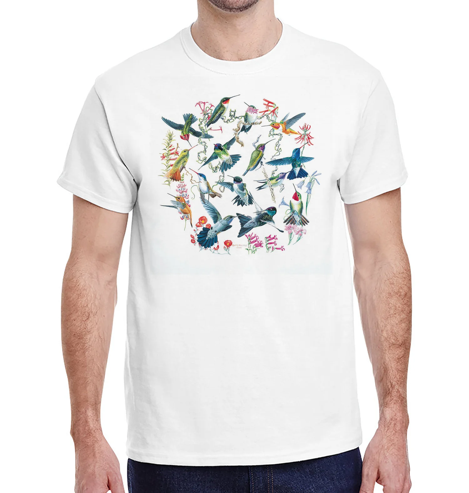 Hummingbirds - Image 2